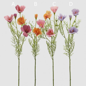 COSMOS RAMO - 70CM